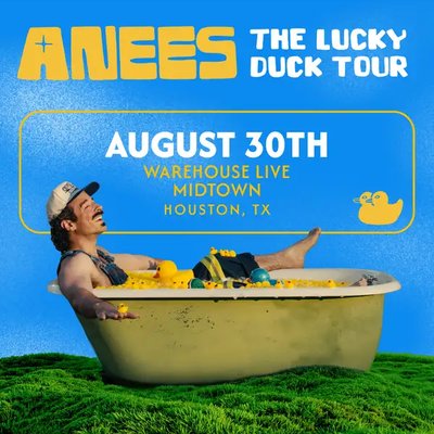 anees